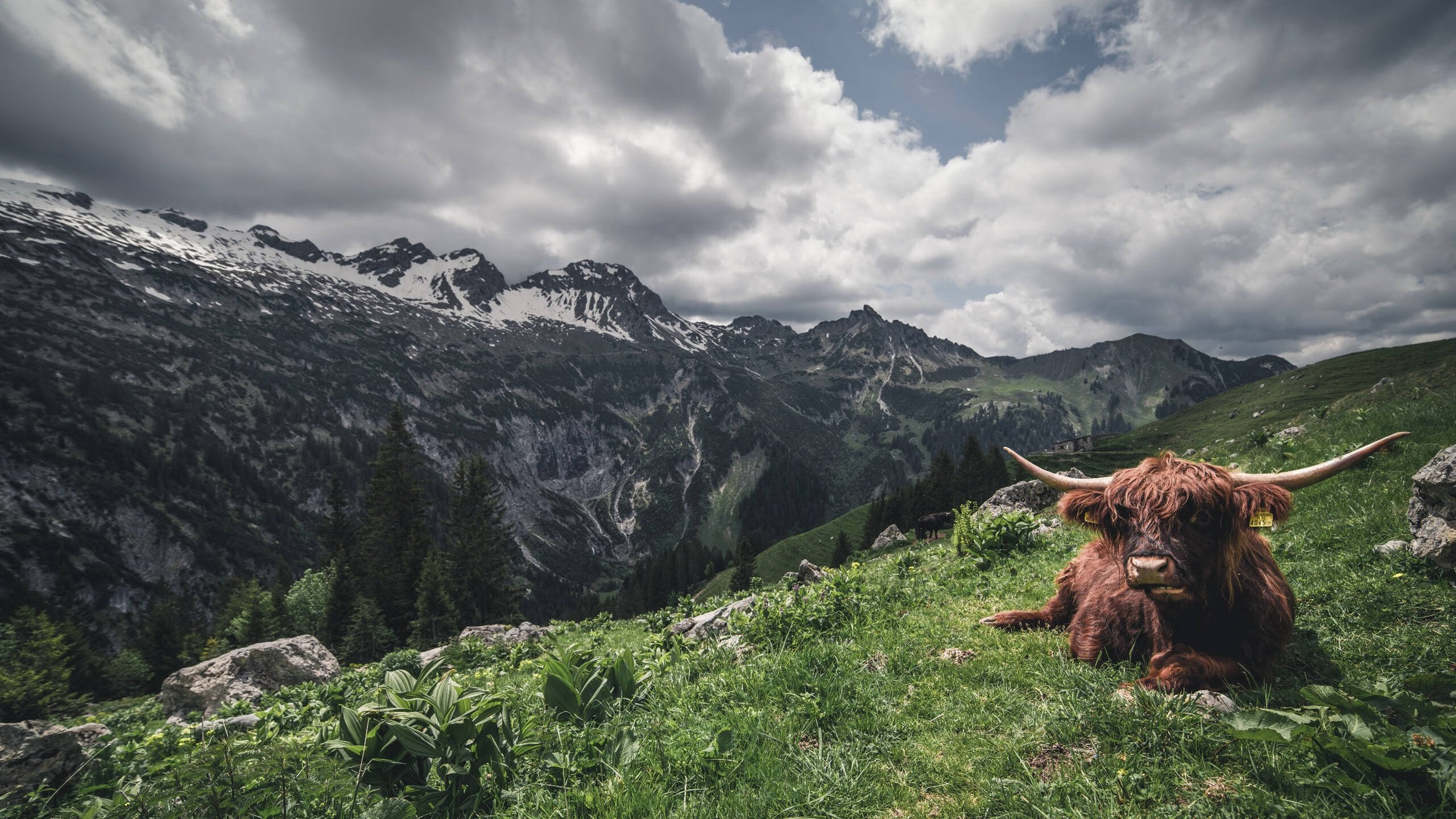 淘汰赛密码,当久保建英的防守成为美国的乌克兰难题