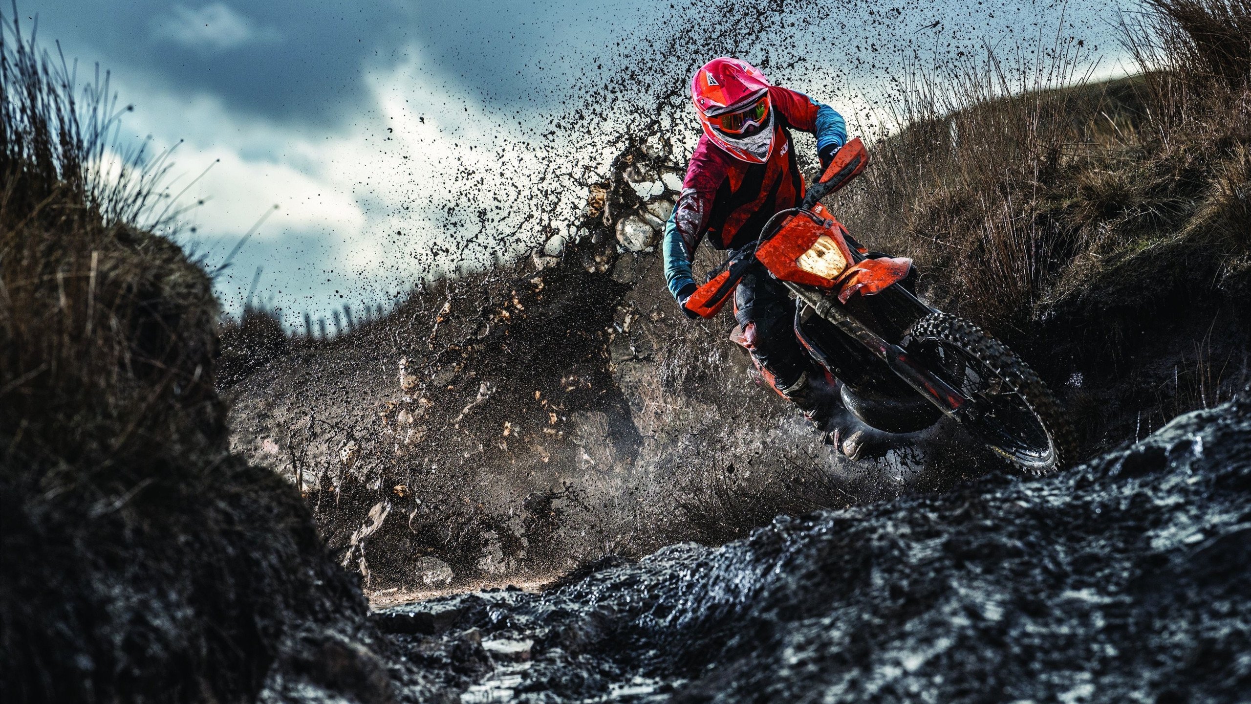 F1年度争冠之夜,塔图姆成为胜负手